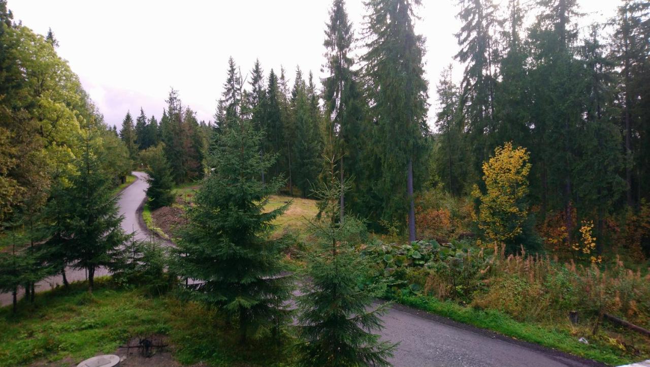 Willowa Chata Dzianisz Luaran gambar